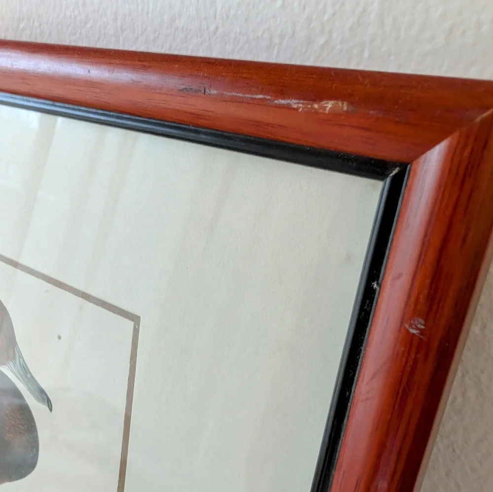 Frame - Picture 4 of 5